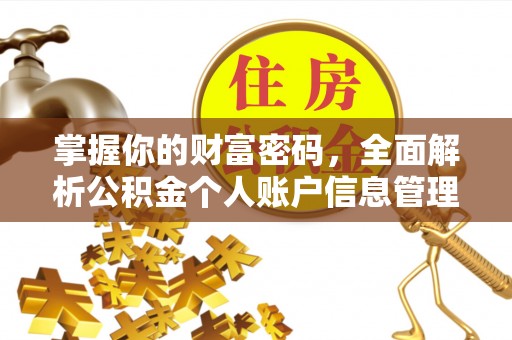 通霄掌握你的财富密码，全面解析公积金个人账户信息管理