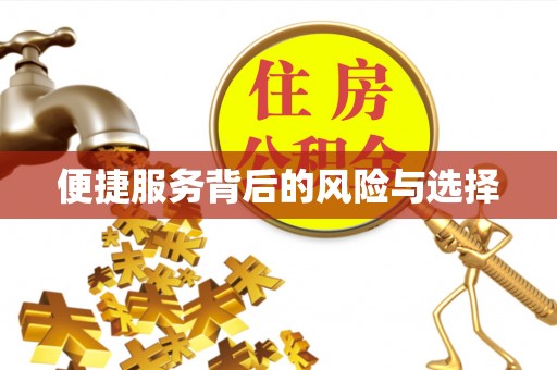 通霄便捷服务背后的风险与选择